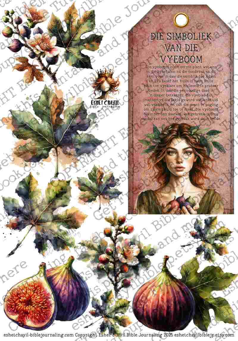WOB PRINTABLE EVA (DETAILED FACES) - AFRIKAANS