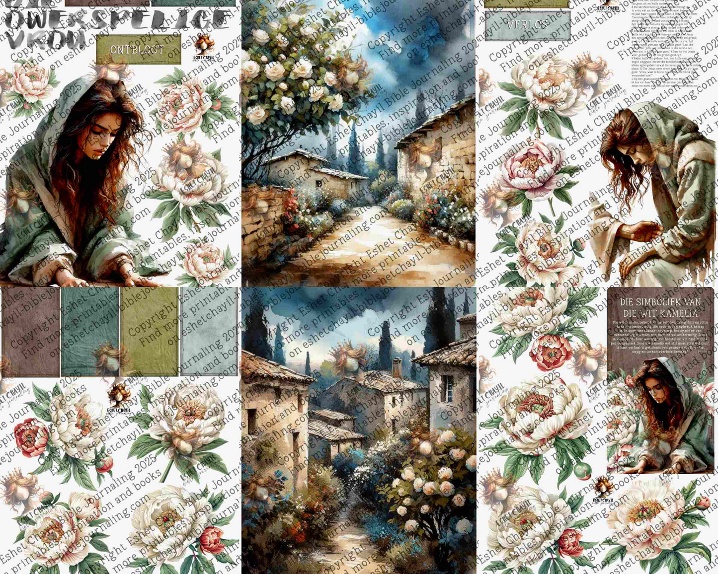 WOB PRINTABLE #42 WOMAN CAUGHT IN ADULTERY (DETAILED FACES) - AFRIKAANS