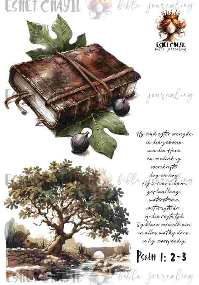 #BIBLE JOURNALING PRINTABLE - TREE AFRIKAANS
