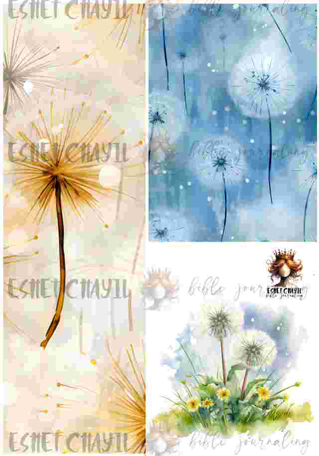 #BIBLE JOURNALING PRINTABLE - PROSPER ENGLISH
