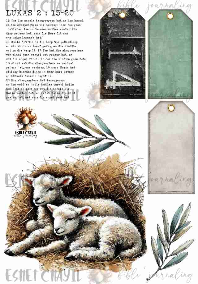 #ADVENT DAY 14 - AFRIKAANS