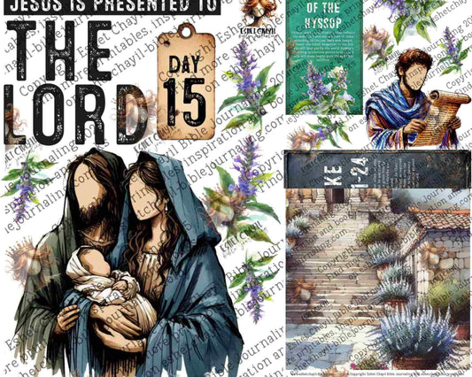 ADVENT #15 (FACELESS) - ENGLISH