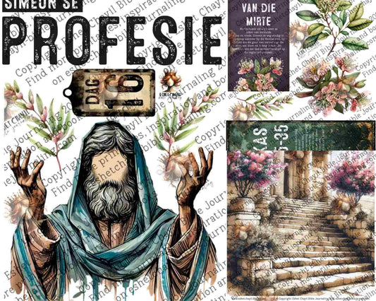 ADVENT #16 (FACELESS) - AFRIKAANS