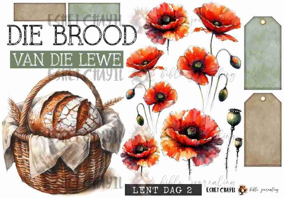 #LENT DAY 2 THE NAMES OF JESUS - AFRIKAANS