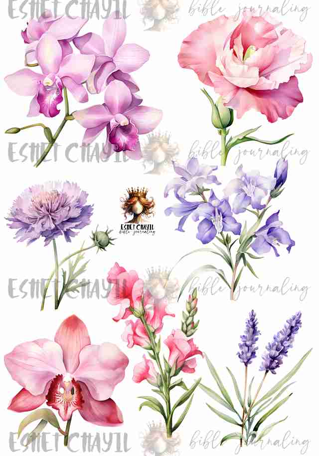 #INSPIRING BIBLE VERSES FOR 2025 - PHILIPPIANS 4:7 ENGLISH