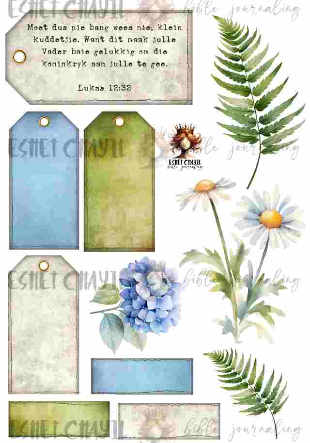 #INSPIRING BIBLE VERSES FOR 2025 - LUKAS 12:32 AFRIKAANS