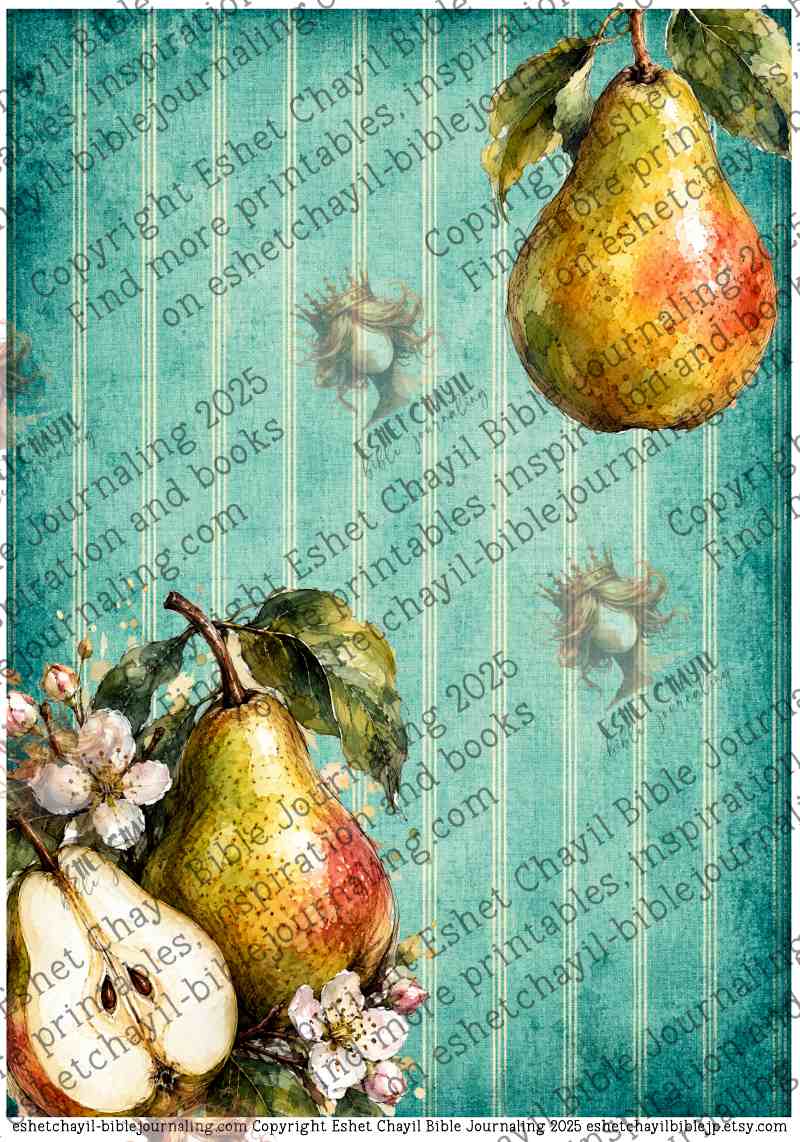 16 THE FRUIT OF PEACE - ENGLISH