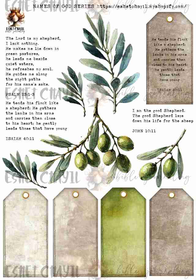 #NAMES OF GOD - YAHWEH ROHI : THE LORD OUR SHEPERD