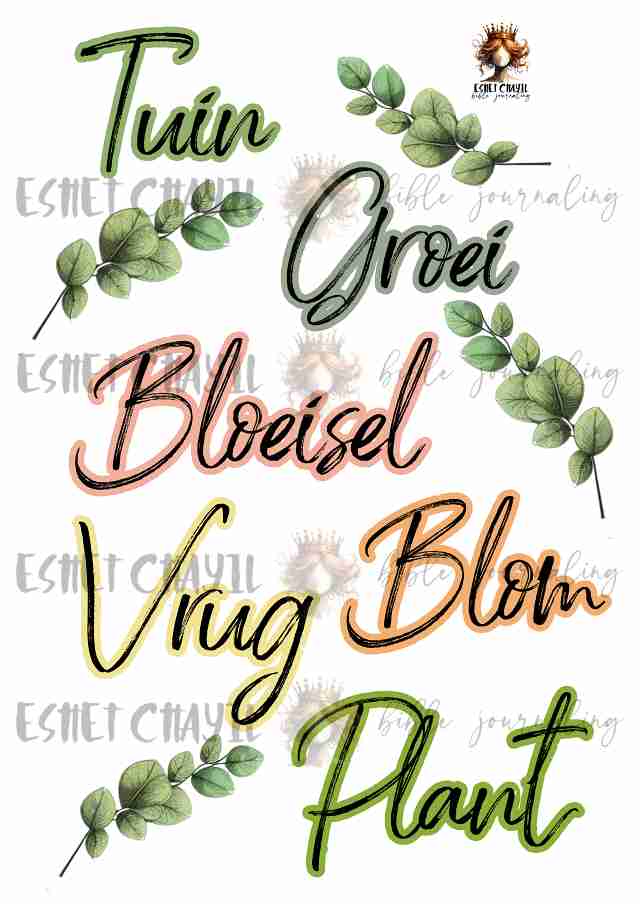 Growing in God's Garden Bible Art Cutout and Collage Book - Afrikaans