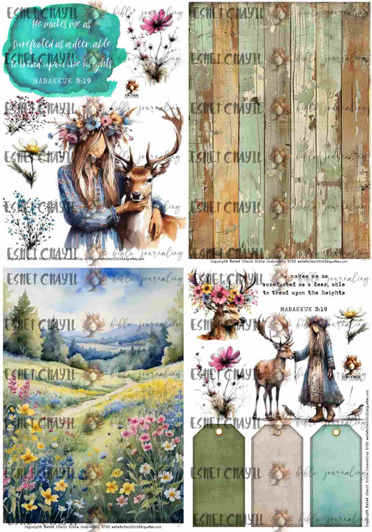 #MY FAVORITE BIBLE VERSES -  DEER