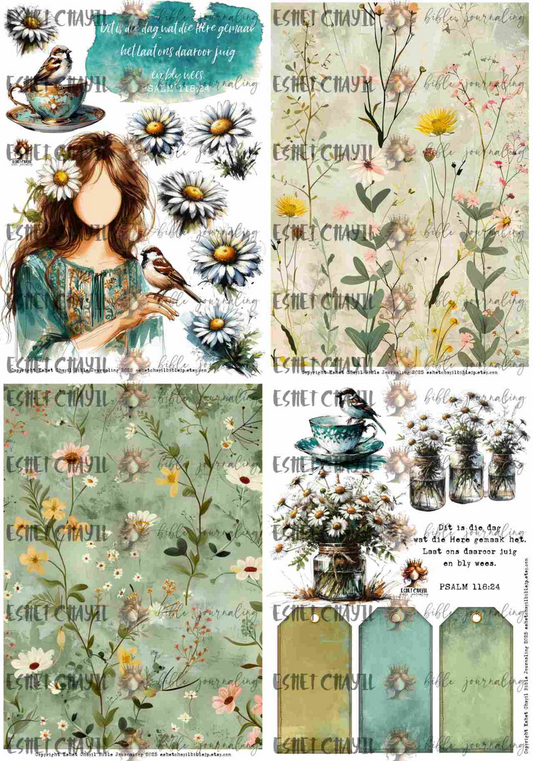 #MY FAVOURITE BIBLE VERSES - BLY