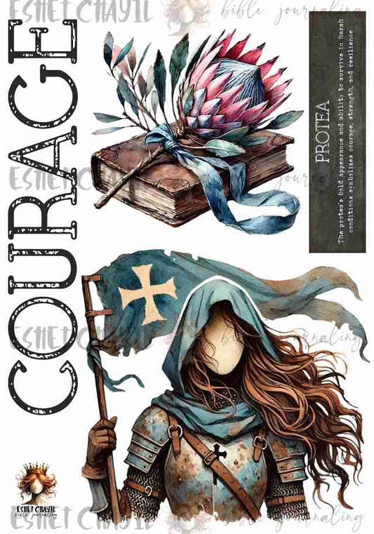 #OLW COURAGE - ENGLISH