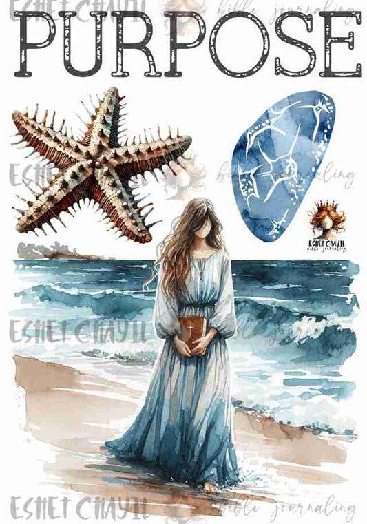 #OLW PURPOSE - ENGLISH