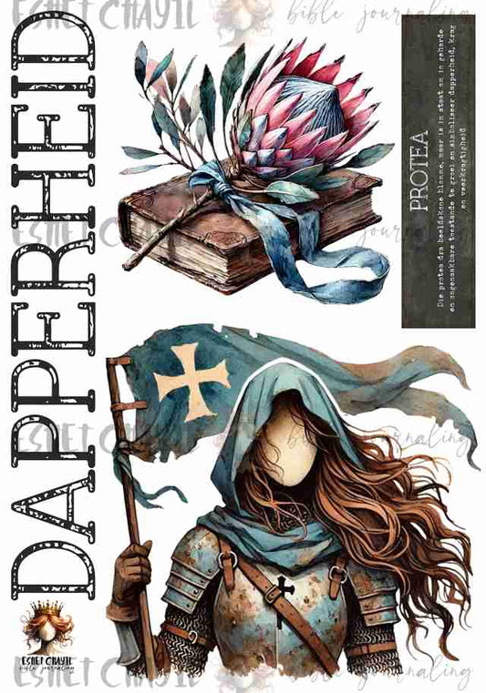 #OLW DAPPERHEID - AFRIKAANS