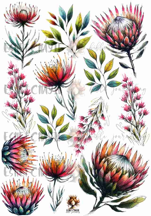 #CELEBRATING WOMEN - GOD SE HANDEWERK - AFRIKAANS