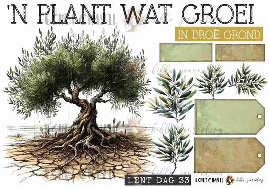 #LENT DAY 33 THE NAMES OF JESUS - AFRIKAANS
