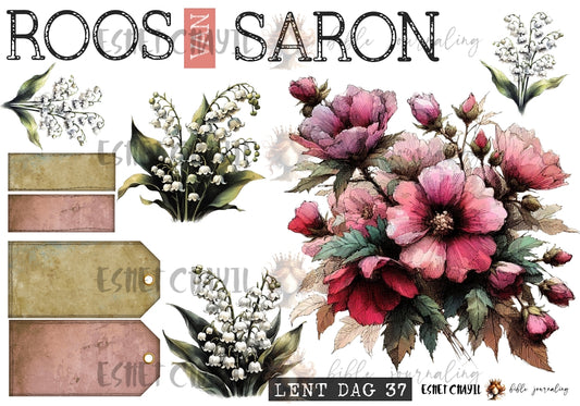 #LENT DAY 37 THE NAMES OF JESUS - AFRIKAANS