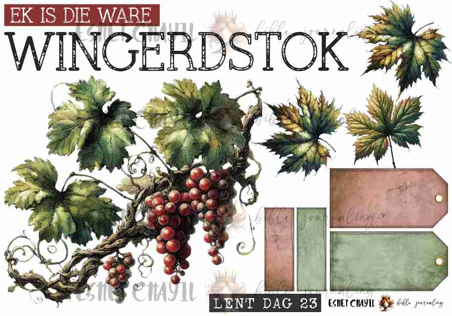 #LENT DAY 23 THE NAMES OF JESUS - AFRIKAANS