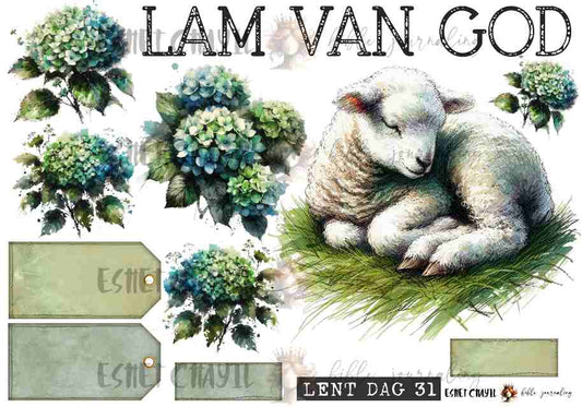 #LENT DAY 31 THE NAMES OF JESUS - AFRIKAANS