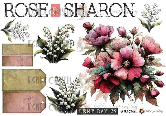 #LENT DAY 37 THE NAMES OF JESUS - ENGLISH