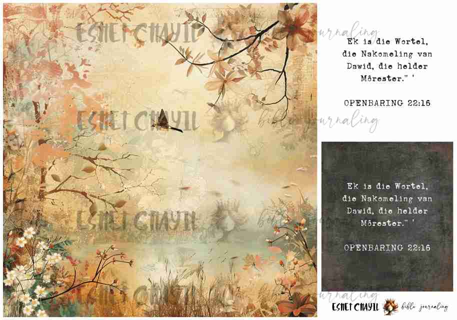 #LENT DAY 25 THE NAMES OF JESUS - AFRIKAANS