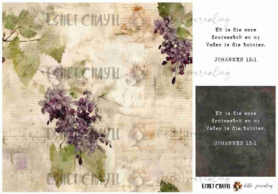 #LENT DAY 23 THE NAMES OF JESUS - AFRIKAANS