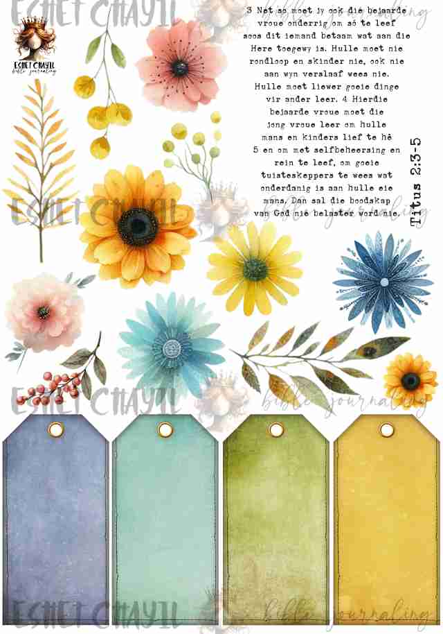 #MODERN WOB MINI JOURNALING PRINTABLE - TITUS 2 VROU