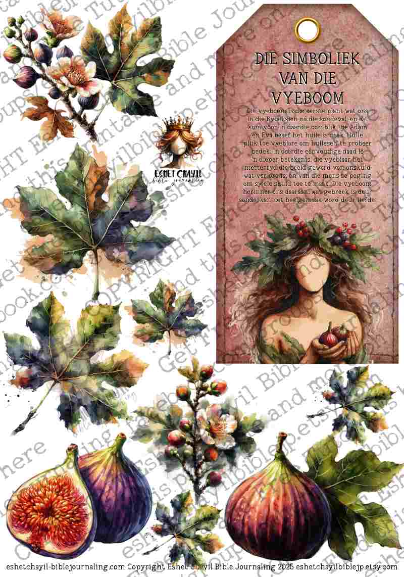 WOB PRINTABLE EVA (FACELESS) - AFRIKAANS