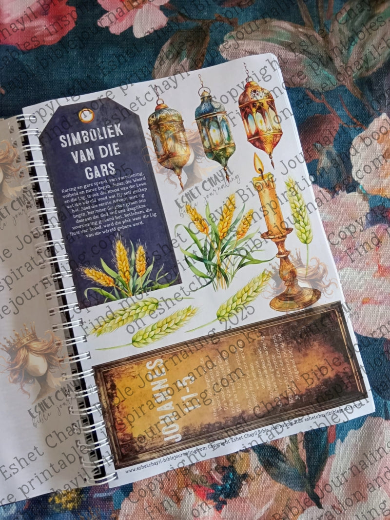 ADVENT CUTOUT AND COLLAGE BOOK (FACELESS) - AFRIKAANS