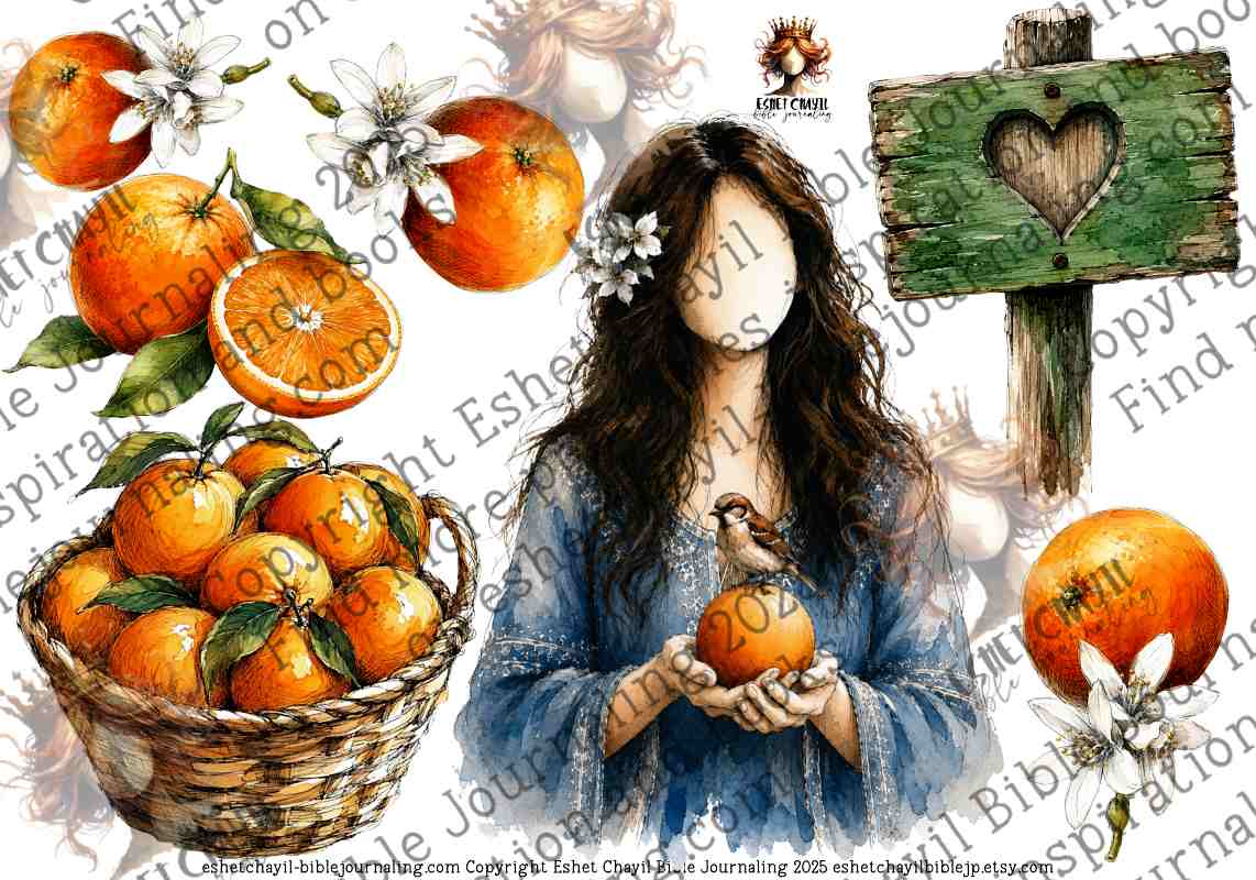 BOU DIE HEINING -  BYBELKUNS PRINTABLE 5 -  DIGITALE PRINTABLE - AFRIKAANS
