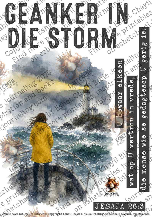 GEANKER IN DIE STORM - AFRIKAANS