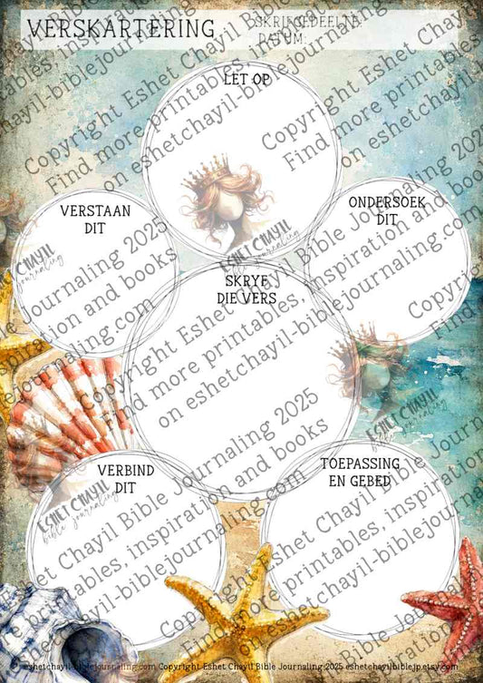 Afrikaanse Verskartering – Skulpe | A4 Verskaart PDF | Kreatiewe Bybelstudie