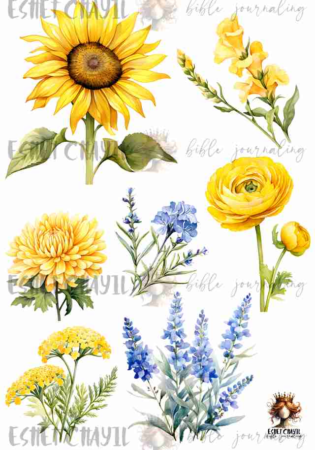 #INSPIRING BIBLE VERSES FOR 2025 - JOSUA 1 : 9 AFRIKAANS