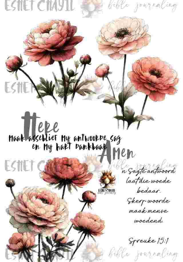 #BIBLE JOURNALING PRINTABLE - GENTLE ANSWER AFRIKAANS