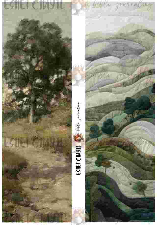 #BIBLE JOURNALING PRINTABLE - TREE AFRIKAANS