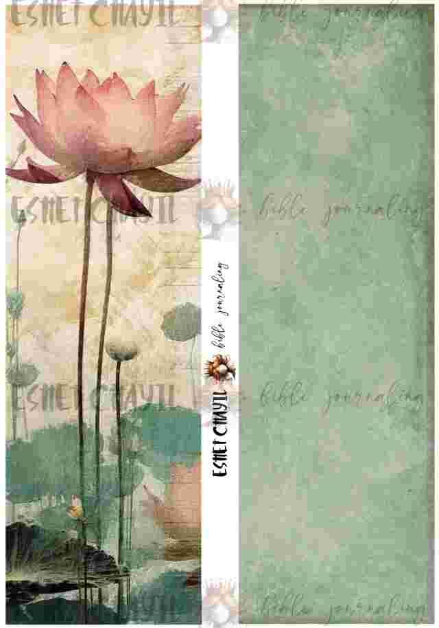 #BIBLE JOURNALING PRINTABLE - SWEET FRIEND AFRIKAANS