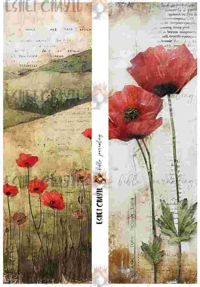 #BIBLE JOURNALING PRINTABLE - GUARD AFRIKAANS