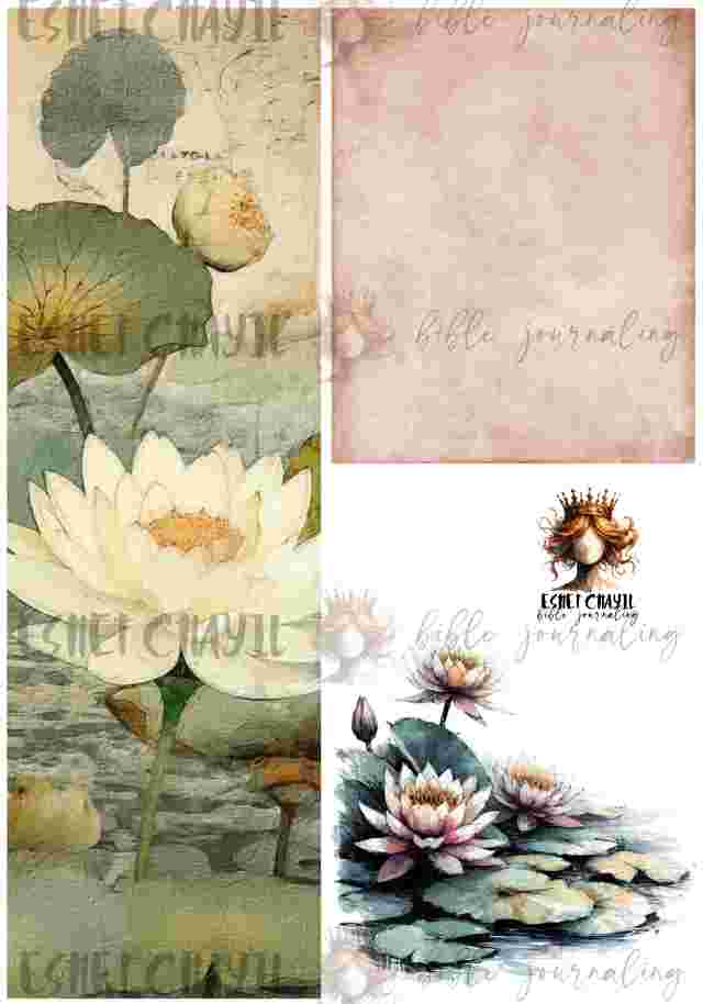 #BIBLE JOURNALING PRINTABLE - SWEET FRIEND ENGLISH
