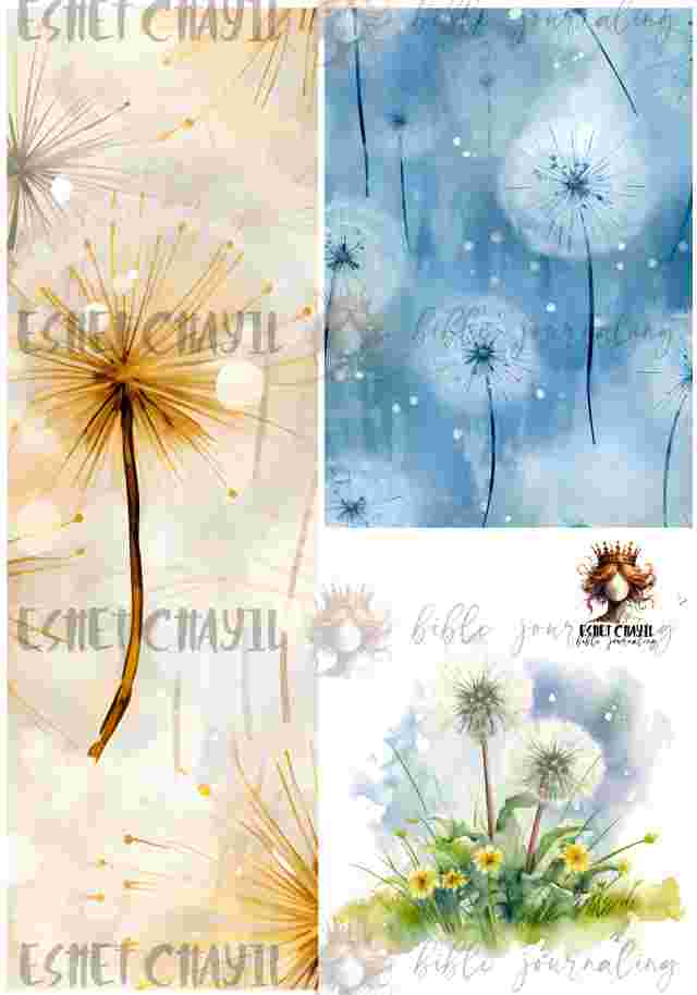 #BIBLE JOURNALING PRINTABLE - PROSPER AFRIKAANS