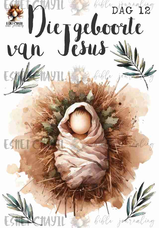 #ADVENT DAY 12 - AFRIKAANS