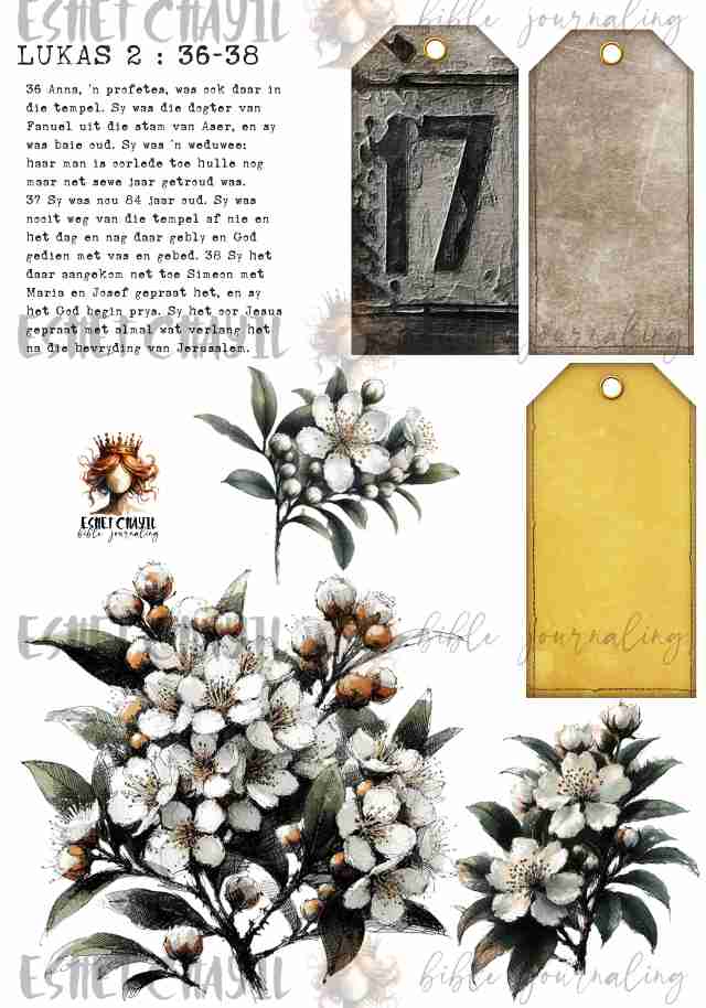 #ADVENT DAY 17 - AFRIKAANS