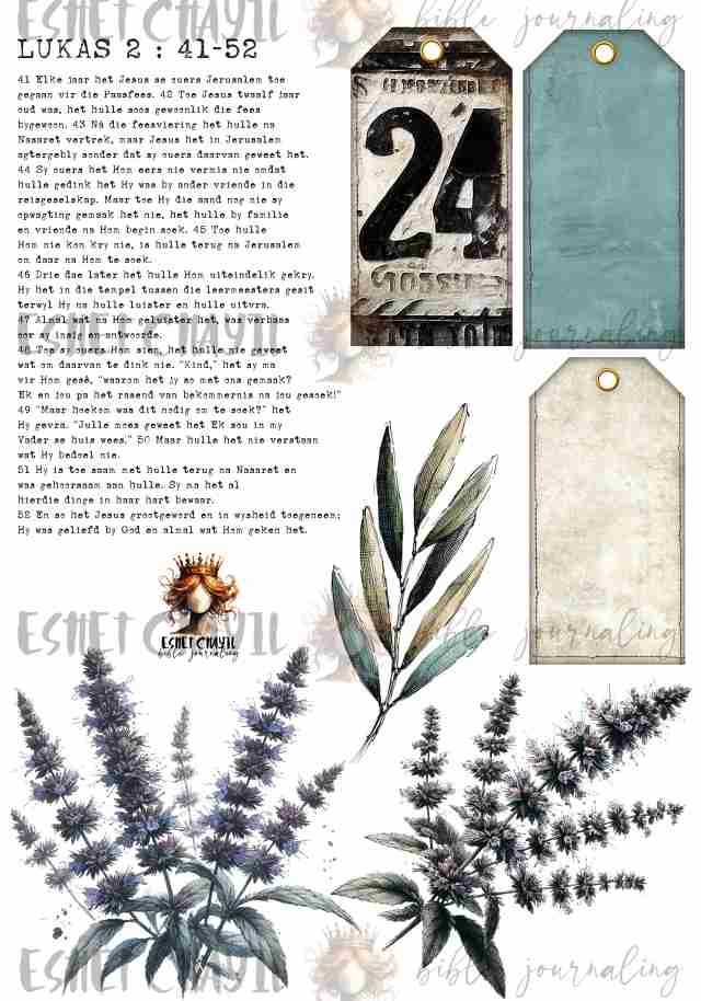 #ADVENT DAY 24 - AFRIKAANS