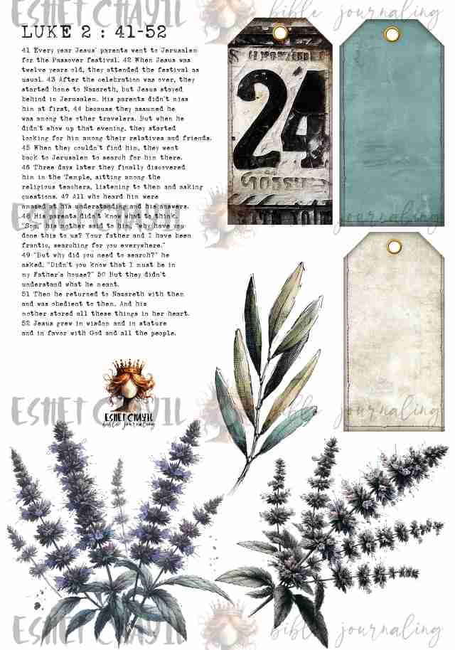 #ADVENT DAY 24 - ENGLISH