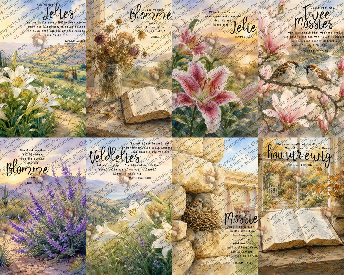 Blomme en Mossies – Bybel Joernaal Inplakbladsye en Oordenkings Kaarte