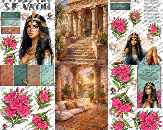 WOB PRINTABLE #N17 POTIFAR SE VROU  (DETAILED FACES) - AFRIKAANS