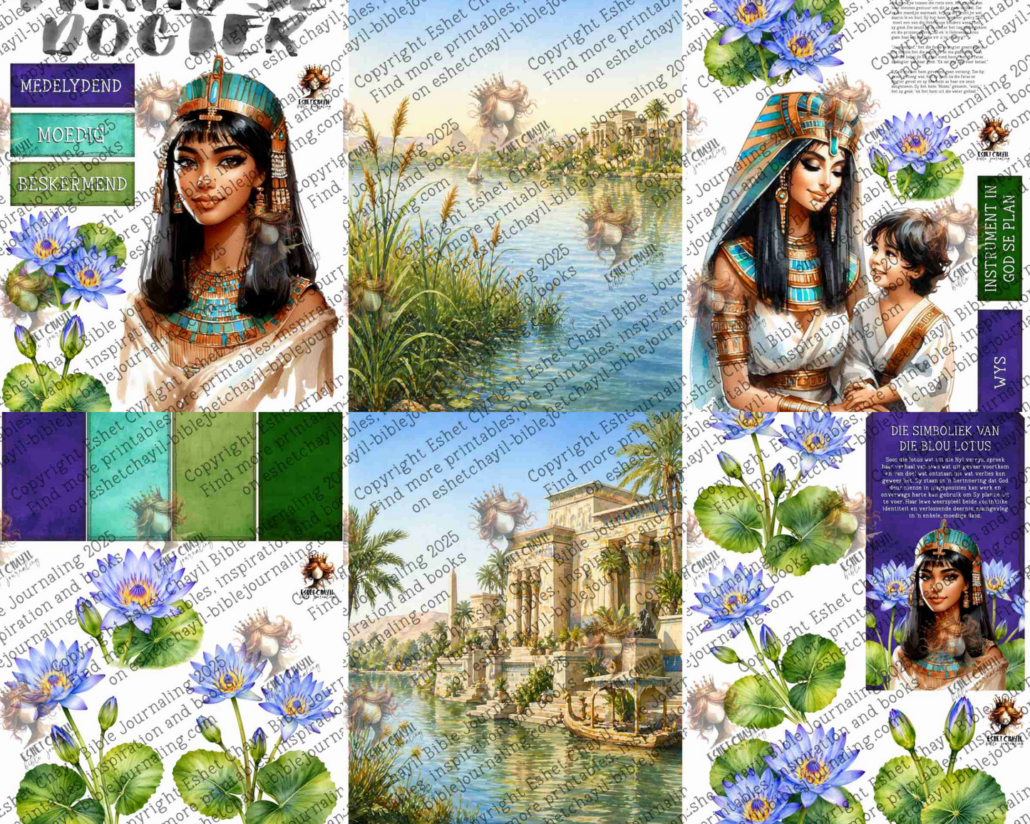 WOB PRINTABLE #N22 FAROA SE DOGTER (DETAILED FACES) - AFRIKAANS