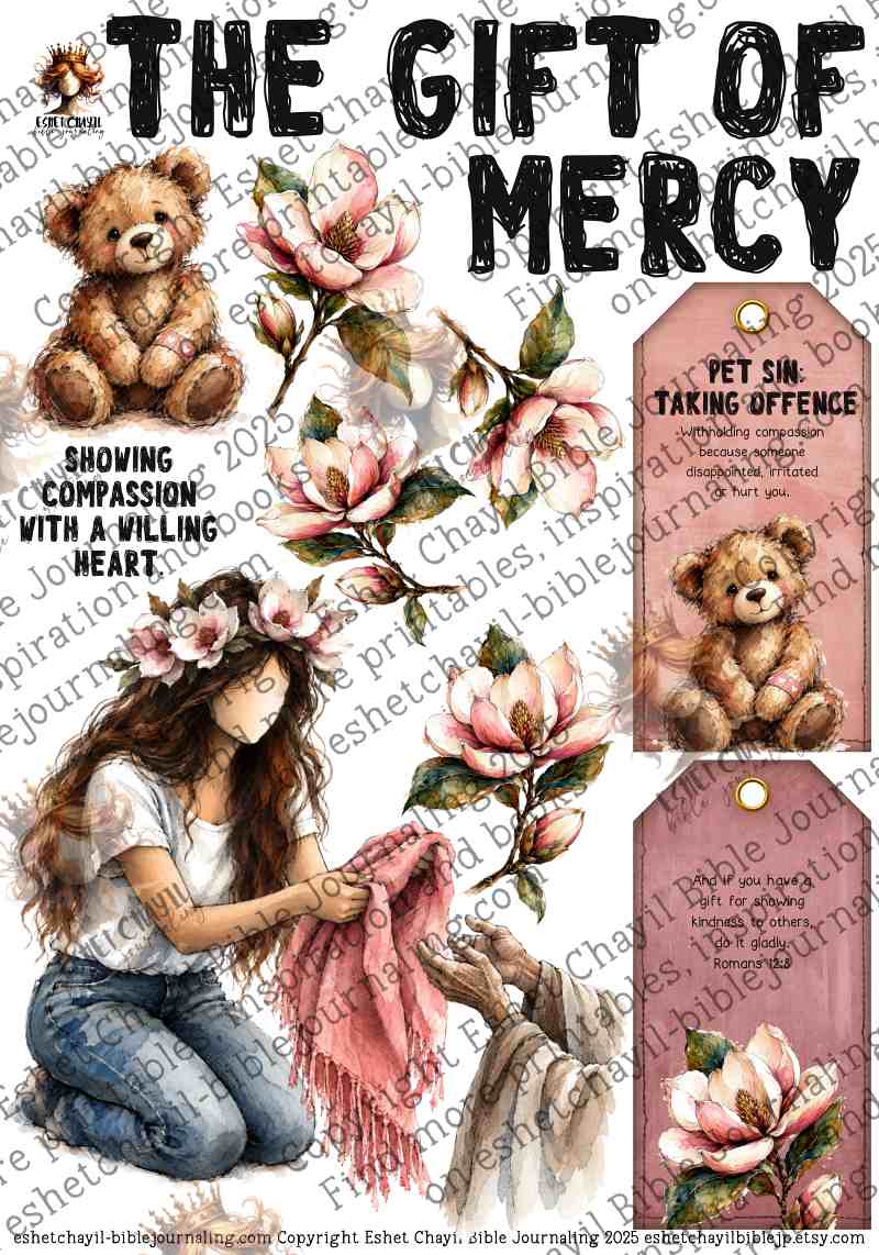 9 THE GIFT OF MERCY - ENGLISH