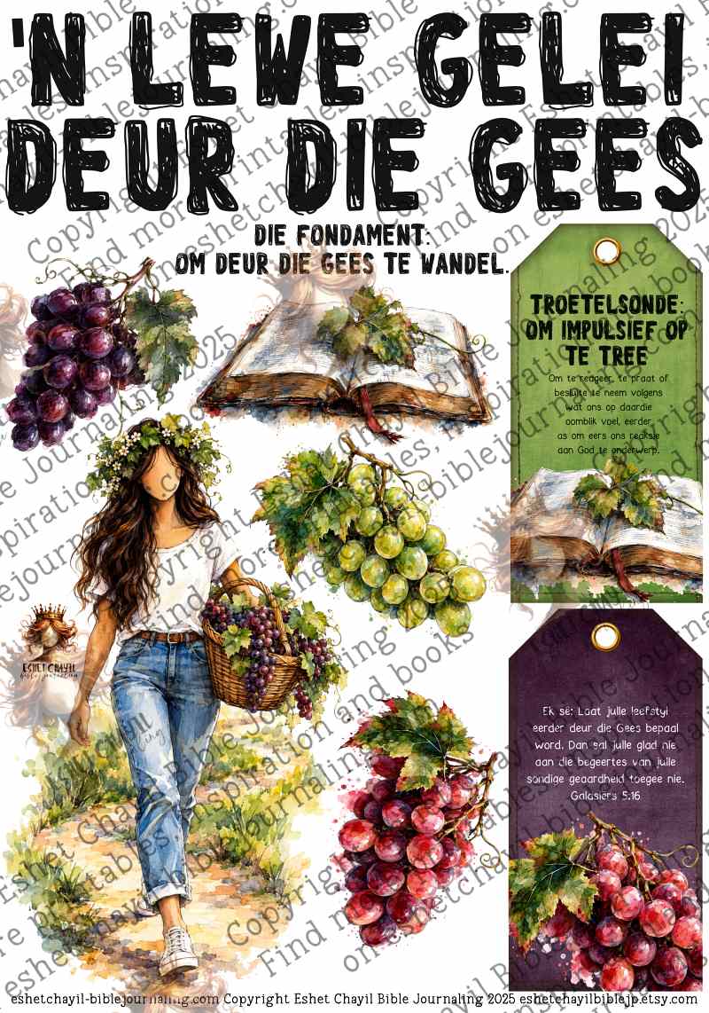 13 'N LEWE GELEI DEUR DIE GEES - AFRIKAANS