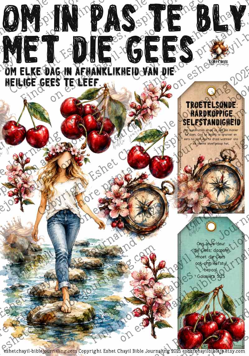 24 IN PAS MET DIE GEES - AFRIKAANS