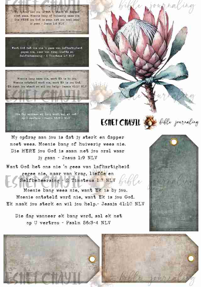 #OLW DAPPERHEID - AFRIKAANS